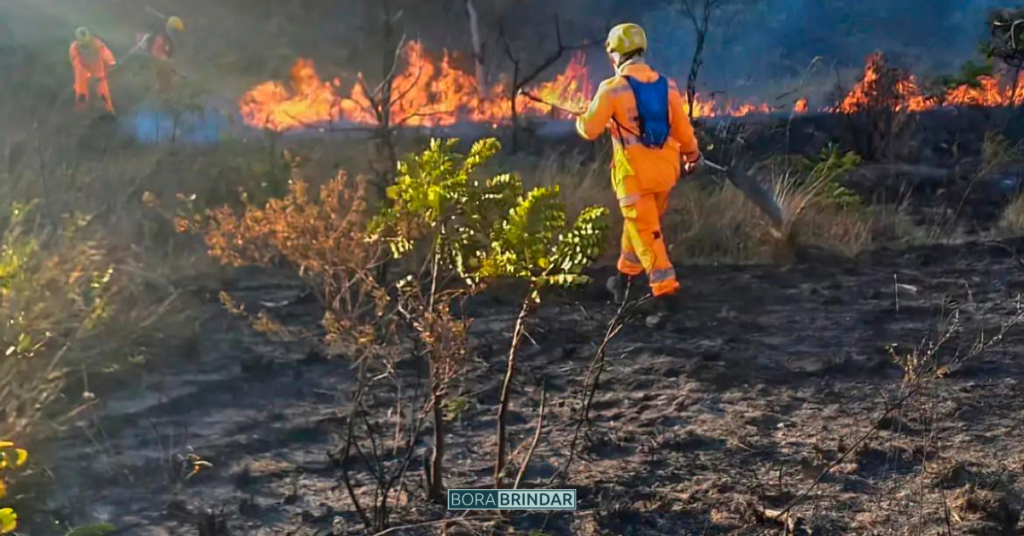 Incêndio Em Minas